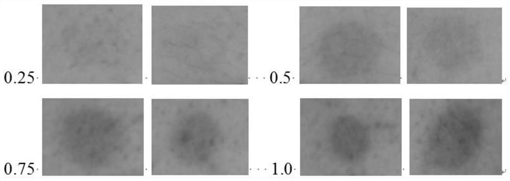 Test methods for the irritation of cosmetic raw materials and anti-irritation products for anti-irritants