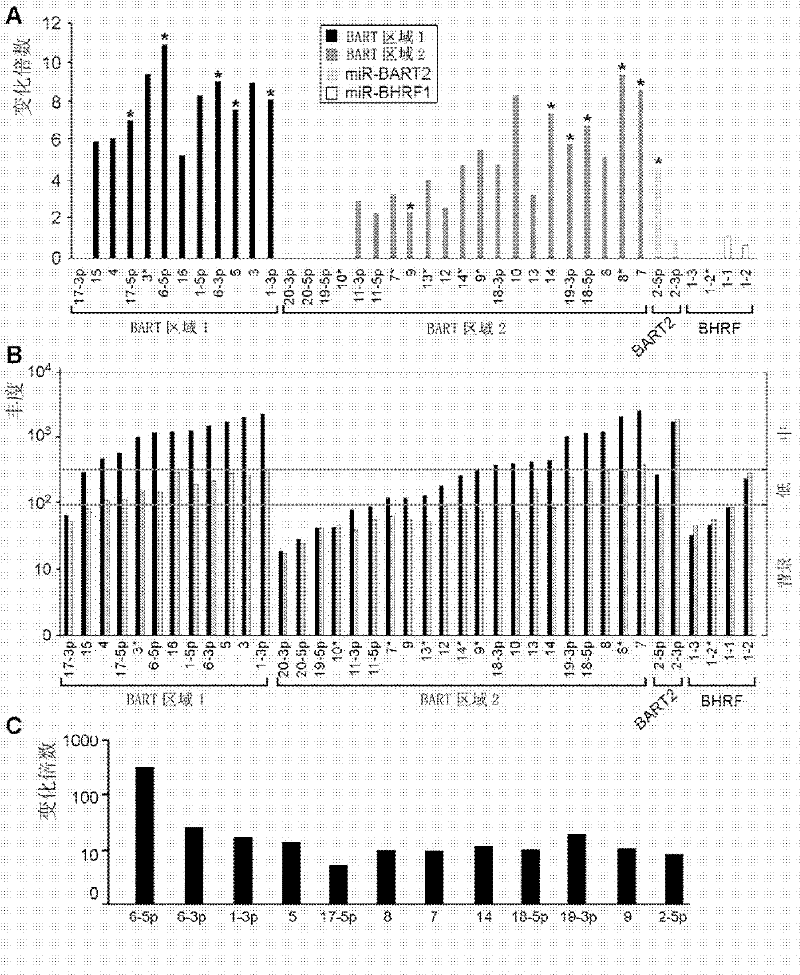 Application of an Epstein-Barr virus miRNA associated with nasopharyngeal carcinoma