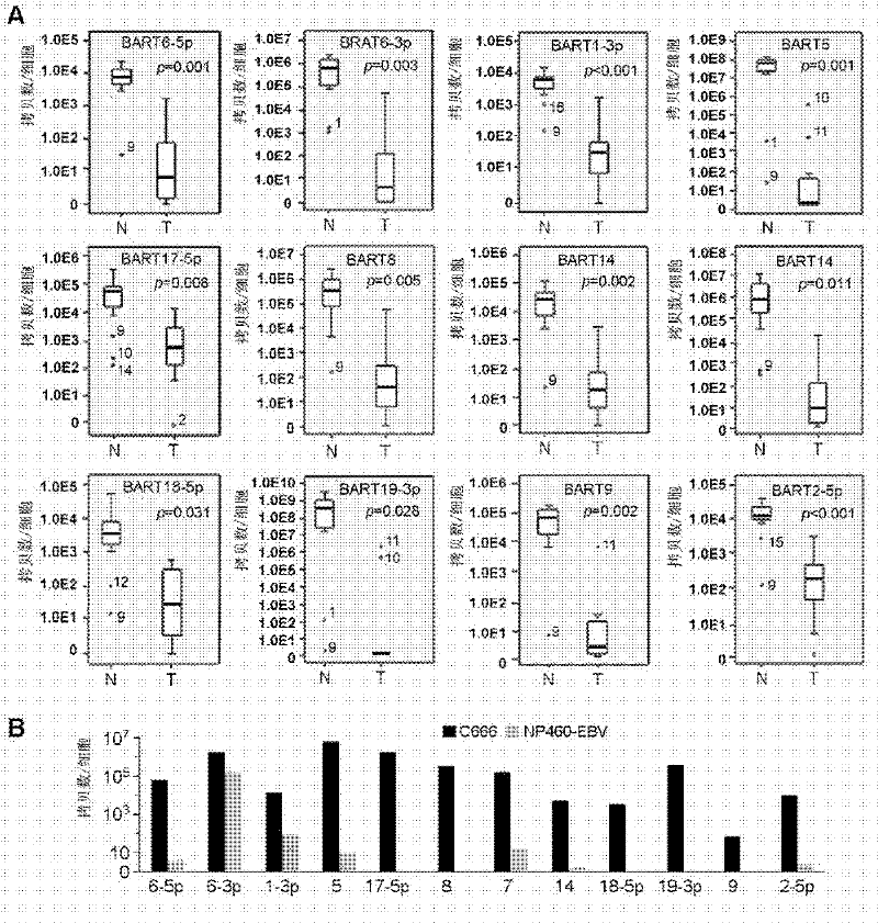 Application of an Epstein-Barr virus miRNA associated with nasopharyngeal carcinoma