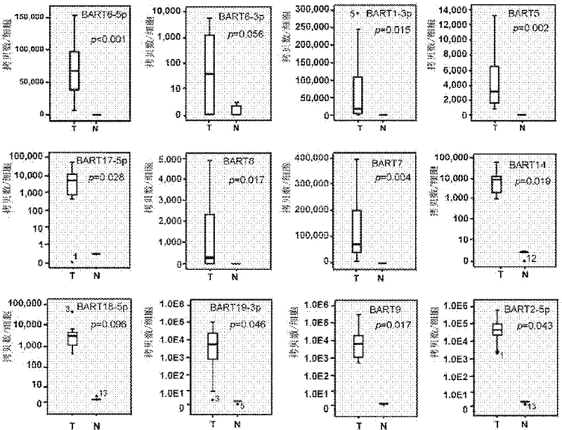 Application of an Epstein-Barr virus miRNA associated with nasopharyngeal carcinoma