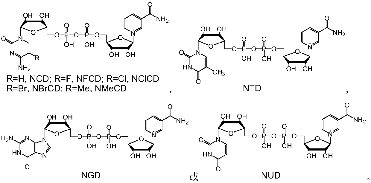 Method for reducing NAD analogues by utilizing methanol