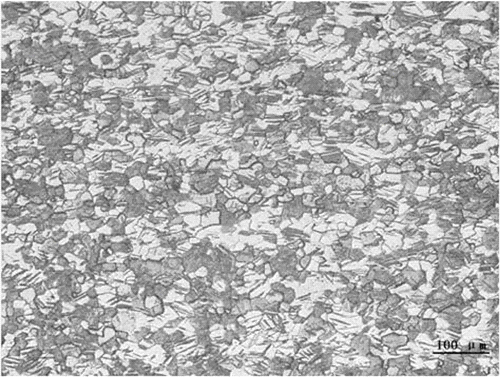 Medical biodegradable zinc alloy and preparation method thereof