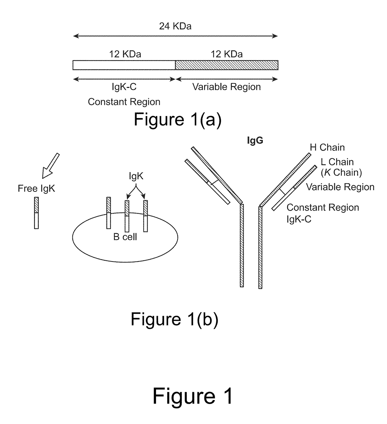 Biomarker for psychiatric and neurological disorders