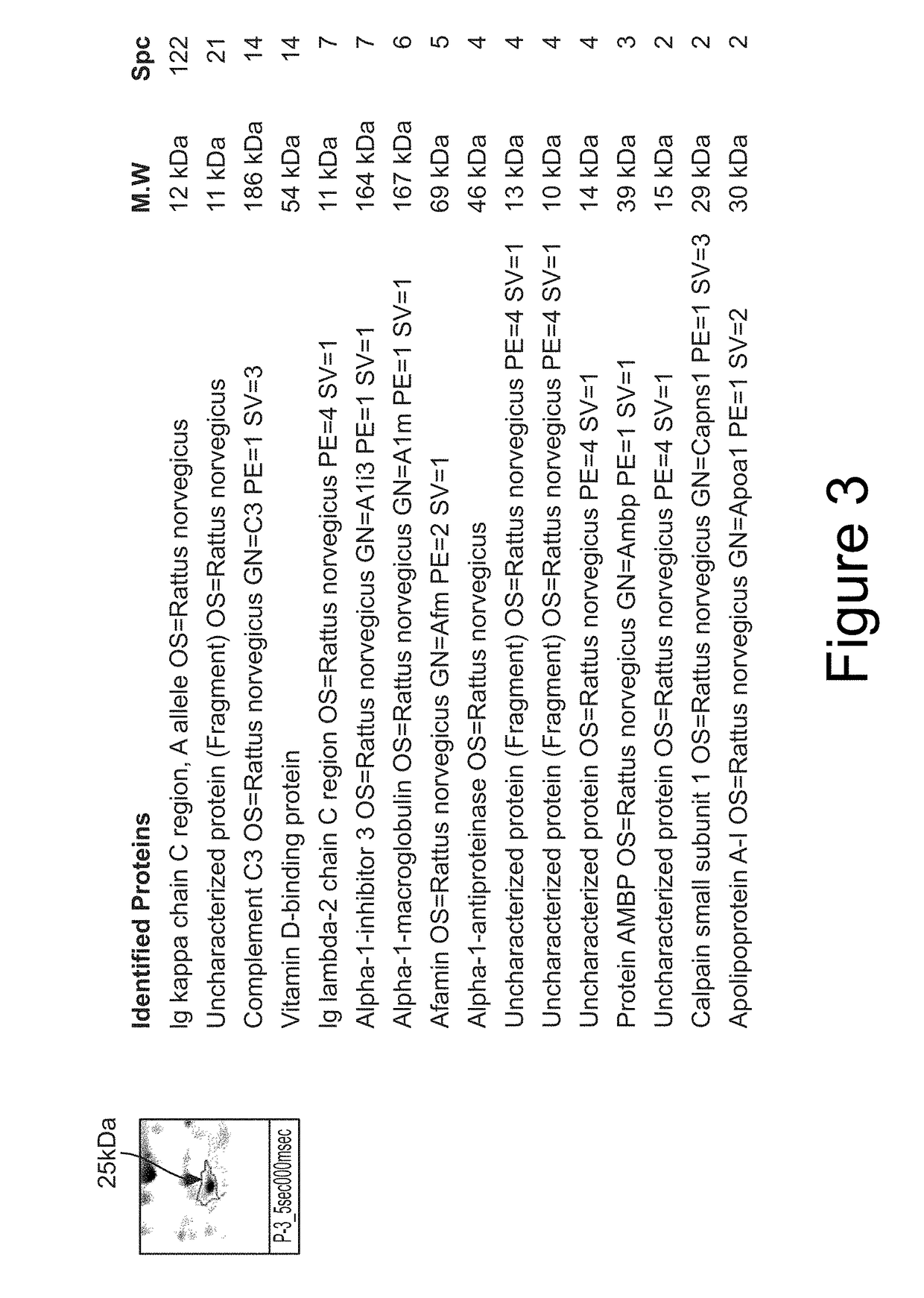 Biomarker for psychiatric and neurological disorders