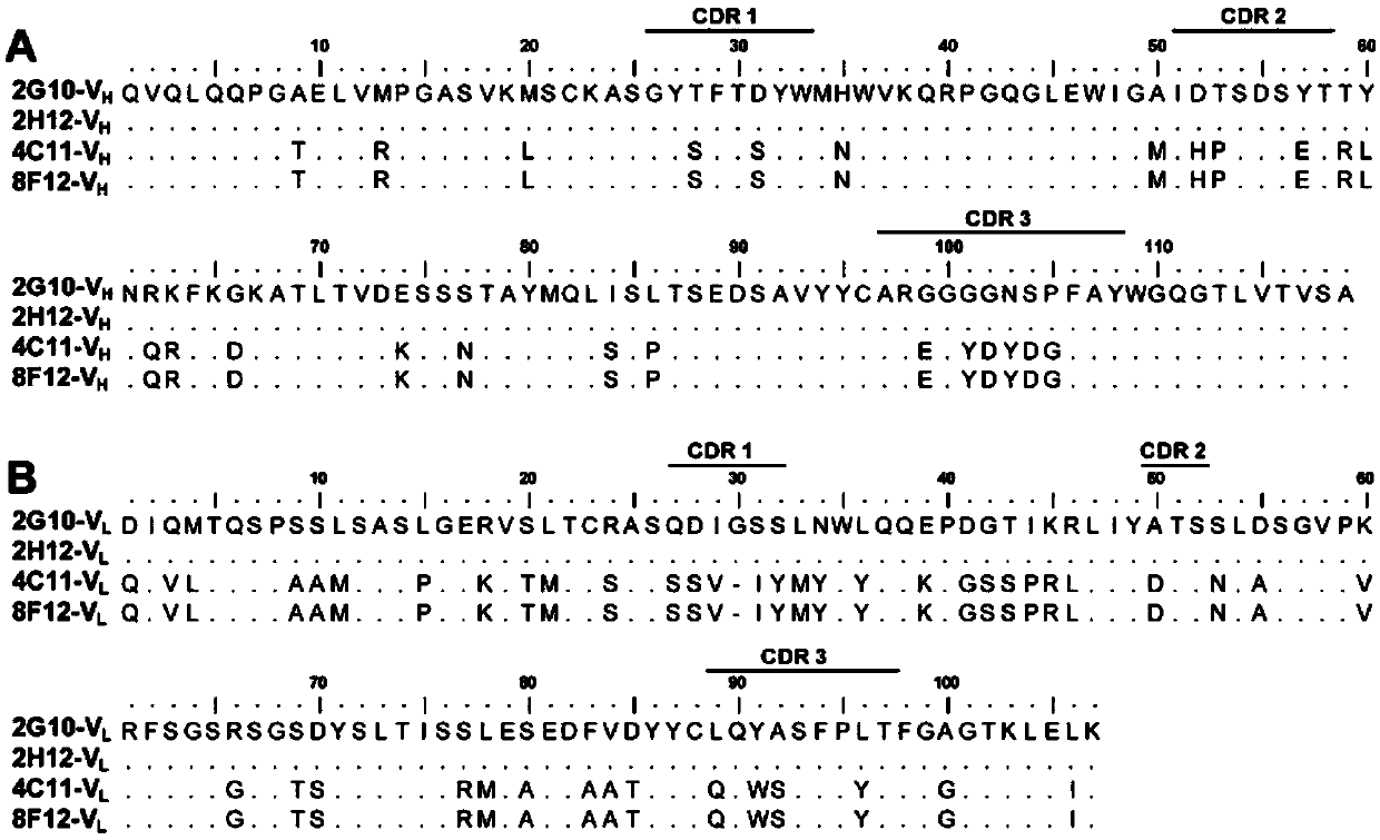 Neutralizing monoclonal antibody capable of resisting enterovirus D68 in broad-spectrum way