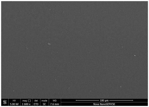 Long-term anti-freezing antibacterial coating for extracorporeal membrane oxygenation (ECMO) device and preparation method of long-term anti-freezing antibacterial coating