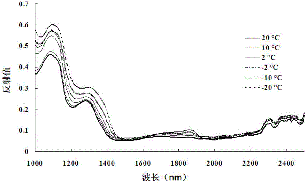 Method and device for measuring freezing parameters of frozen meat