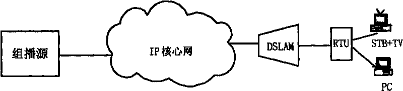 Multi-multicast carrying network access equipment, system and method