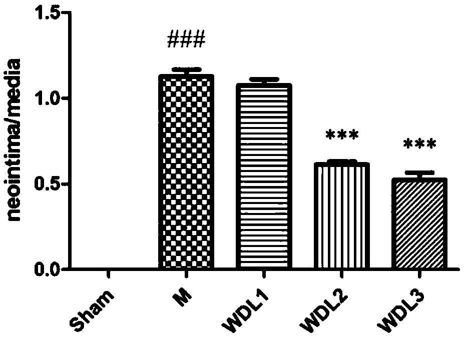 Wedelolactone pharmaceutical use