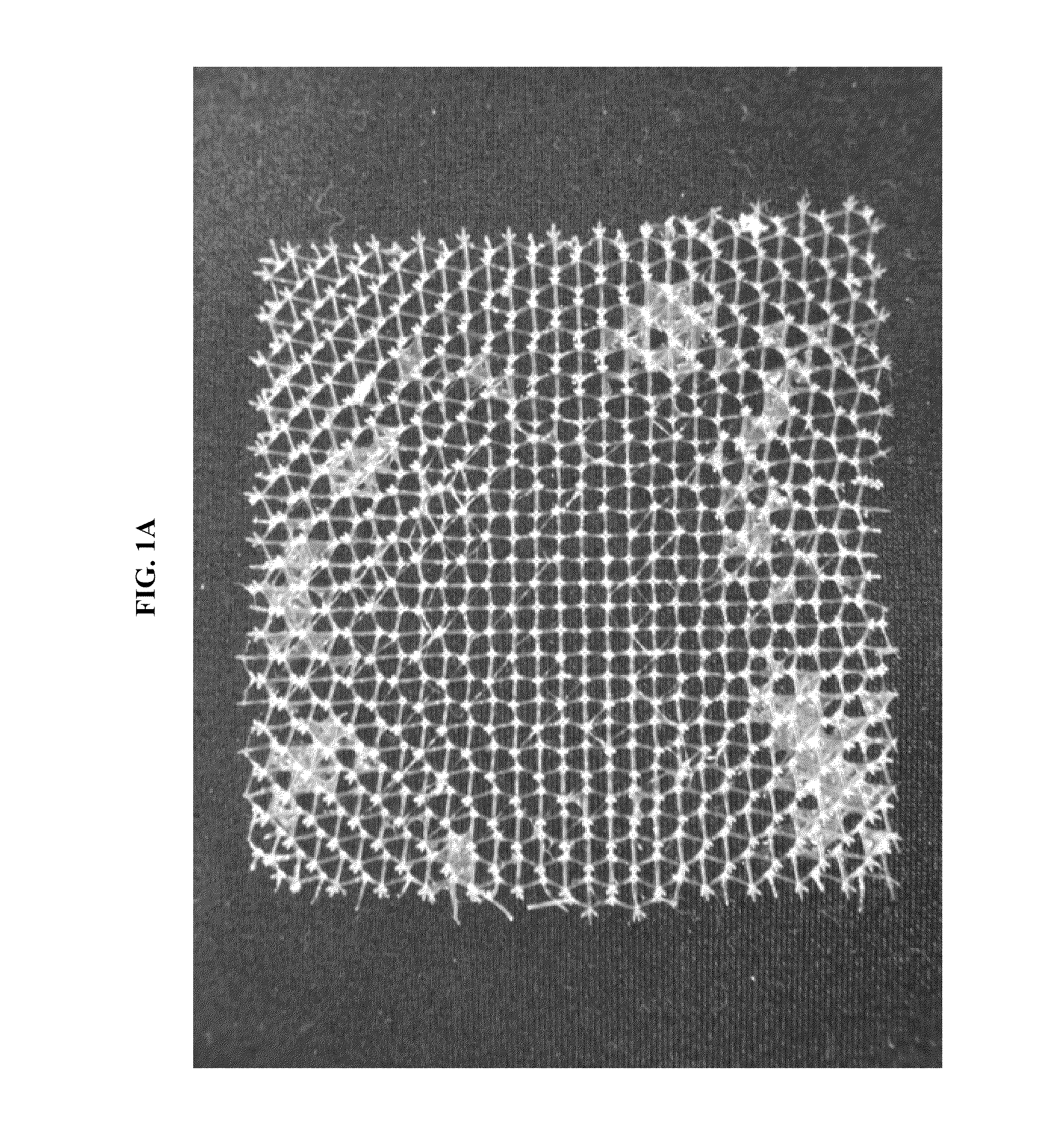 Unsaturated monomeric formulations for the fabrication of polymeric waveguides