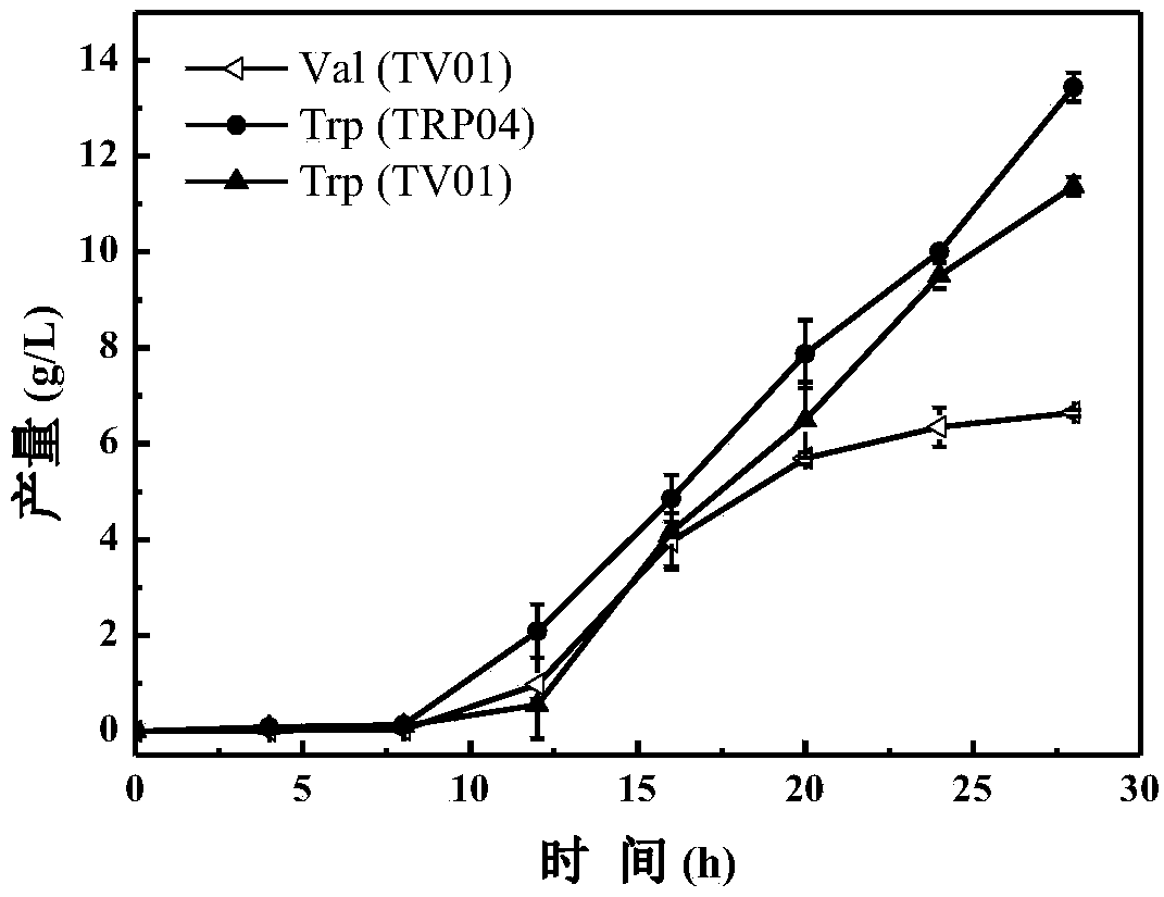 Escherichia coli genetically engineered bacterium and application of escherichia coli genetically engineered bacterium to synchronous production of L-tryptophan and L-valine through fermentation