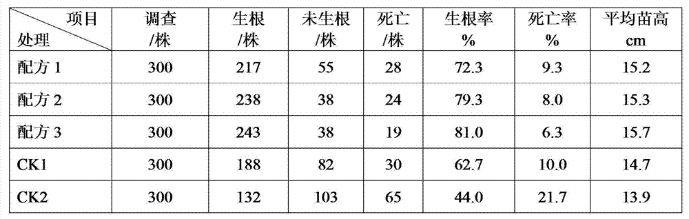 Ascendens mucronatum cutting medium and preparation method and application thereof