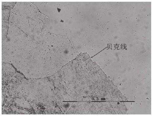 Method and system for determining protrusion grade of transparent minerals in rock, and application of system