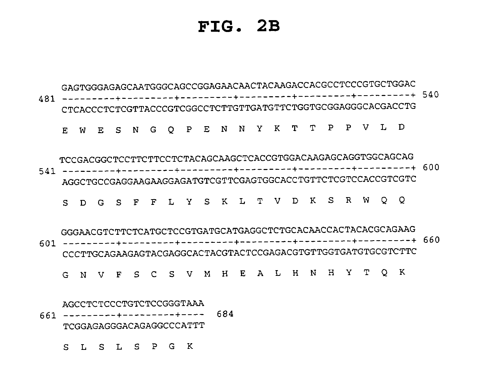 Peptides and related molecules that modulate nerve growth factor activity