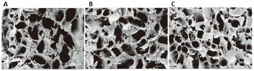 Injectable cartilage repair hydrogel and preparation method thereof