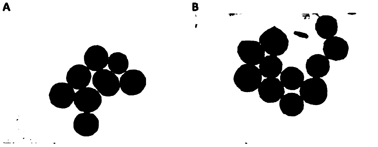 Injectable cartilage repair hydrogel and preparation method thereof