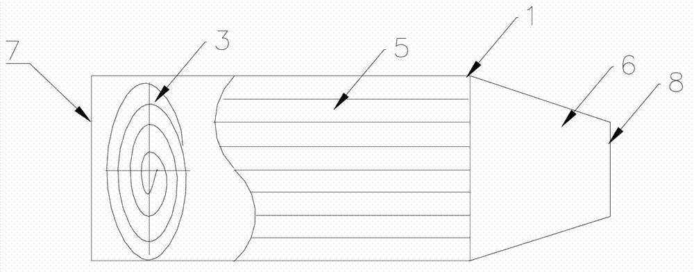 Portable air negative ion pump