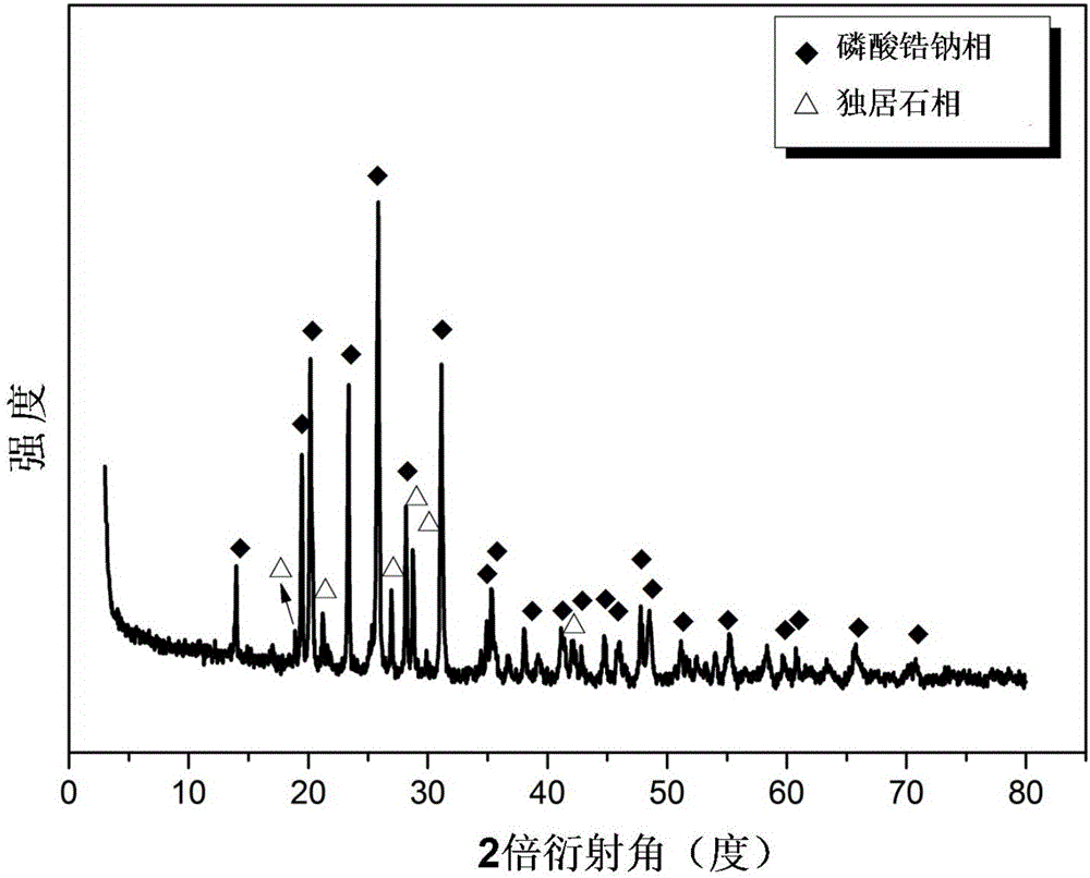 Zirconium sodium phosphate-monazite glass ceramic solidified body and preparation method thereof