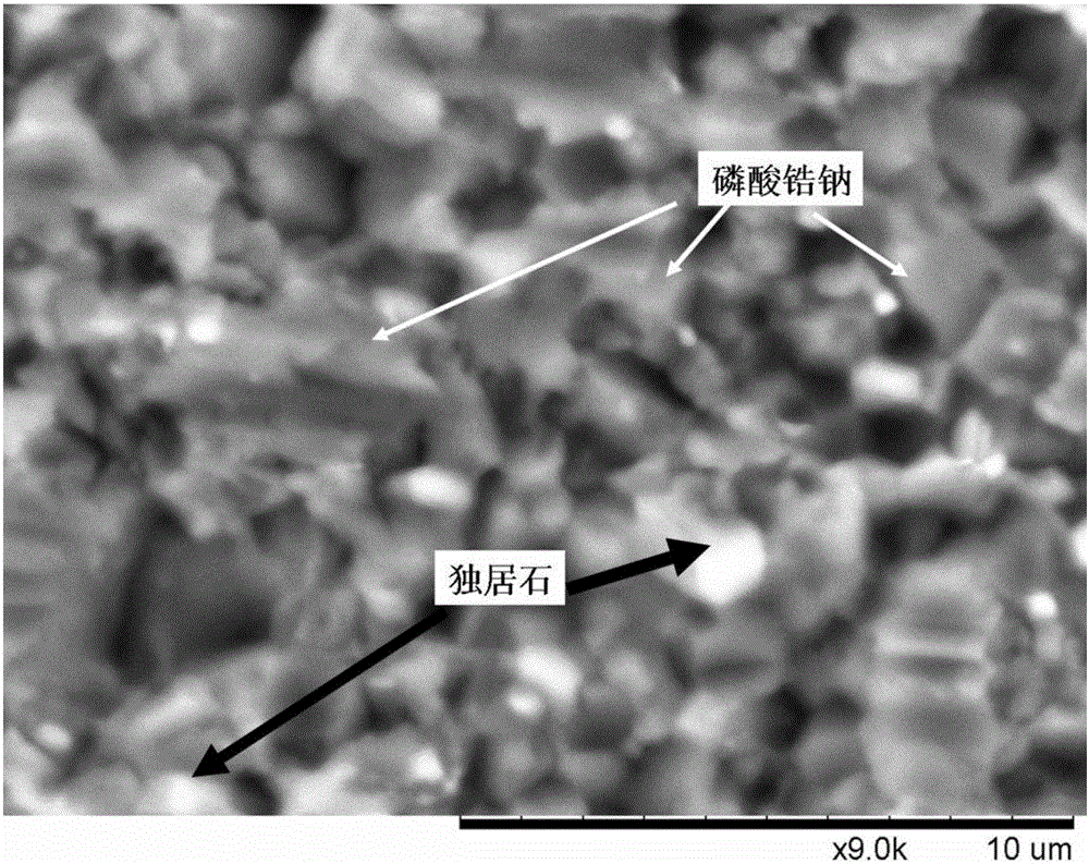 Zirconium sodium phosphate-monazite glass ceramic solidified body and preparation method thereof