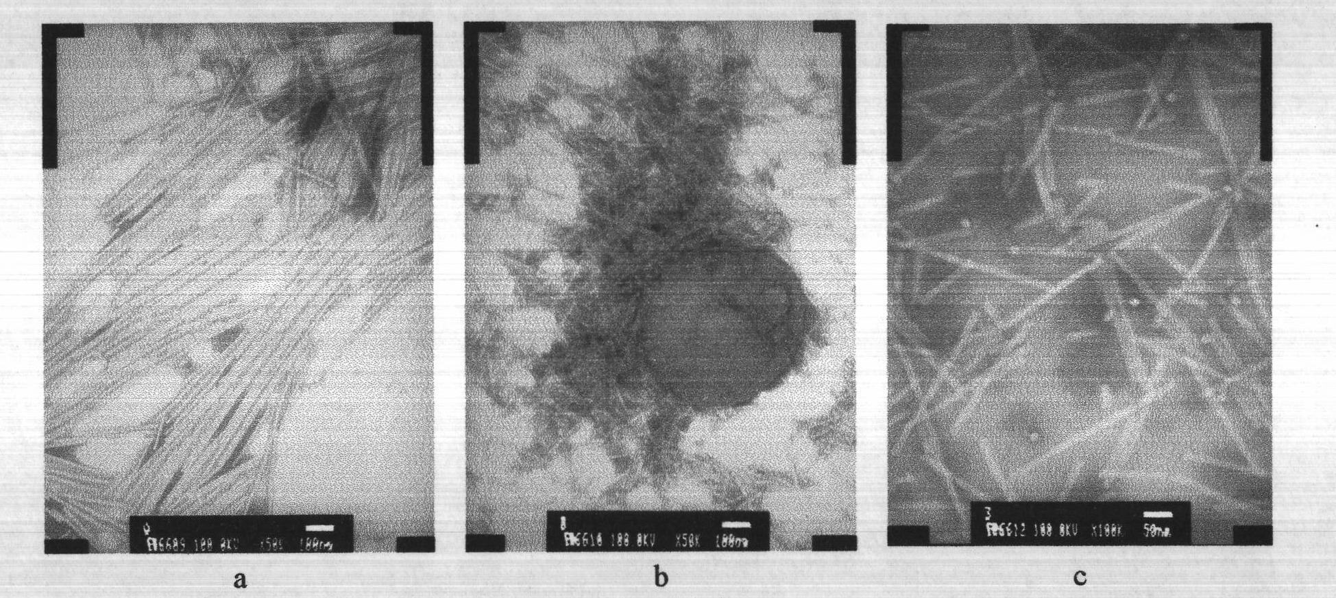 Pseudomonas putida strain for bio-control of Tobacco mosaic virus