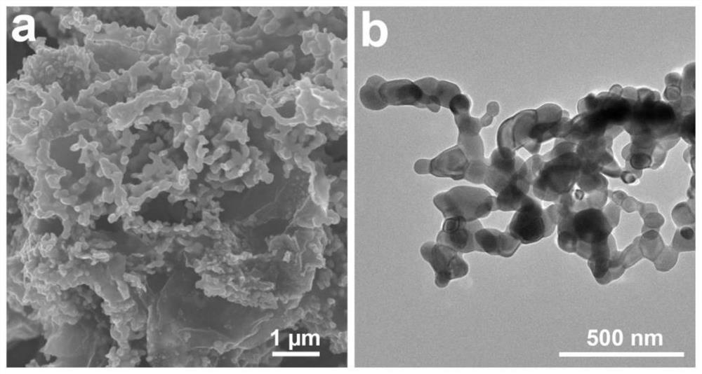 Universal preparation method of nitrogen-phosphorus co-doped carbon-loaded transition metal phosphide