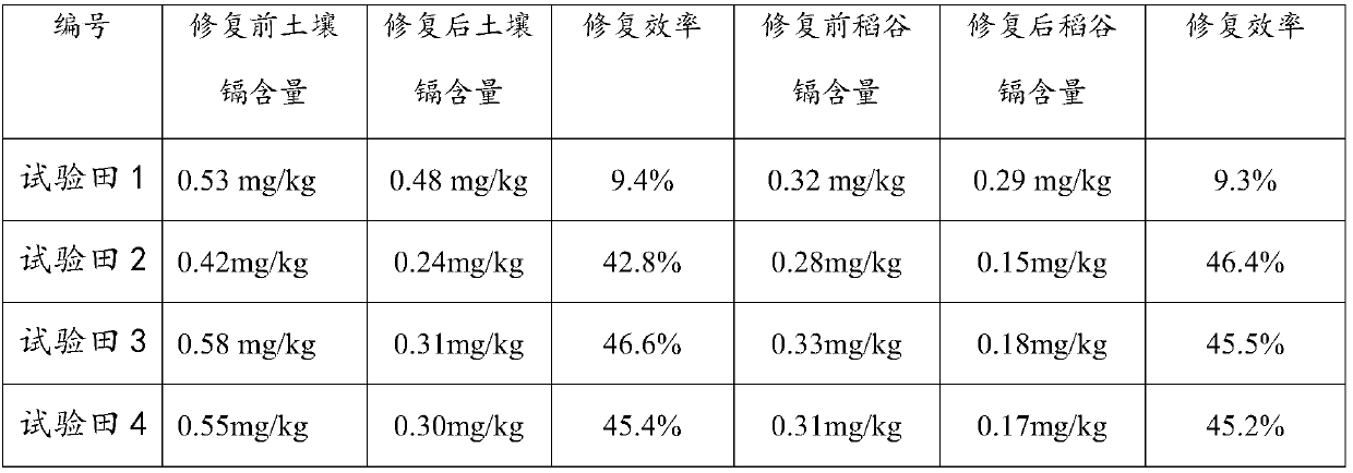 Soil activator for remediation of cadmium-contaminated soil as well as preparation method and application thereof