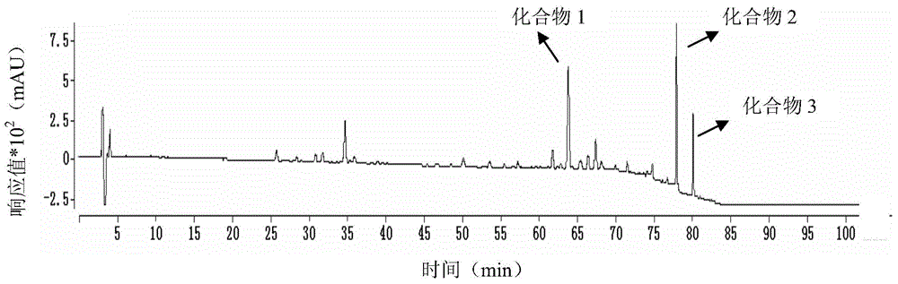 Blood flower milkweed milk extract rich in cardiac glycosides as well as preparation method and application of extract