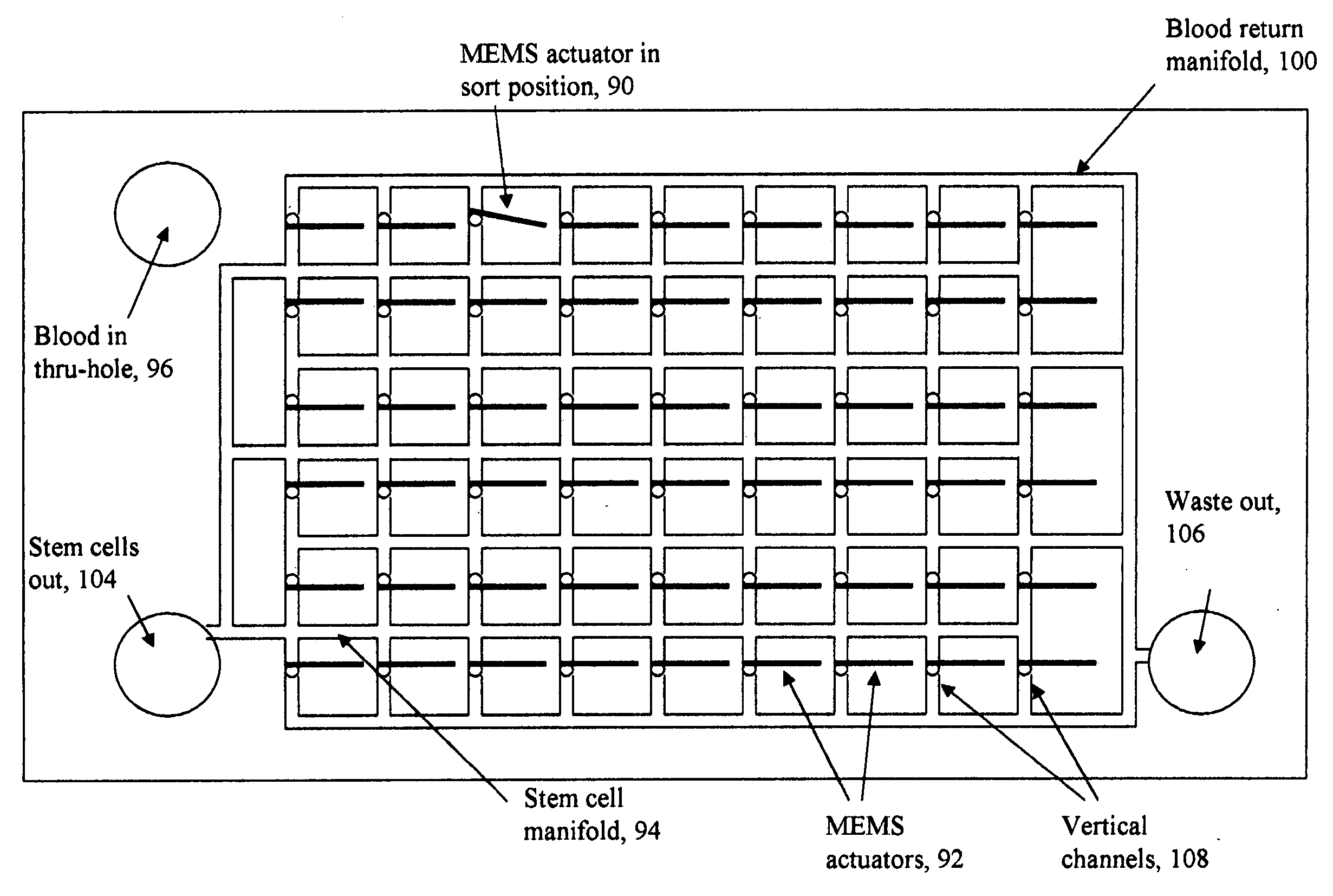 Method and apparatus for sorting biological cells with a MEMS device