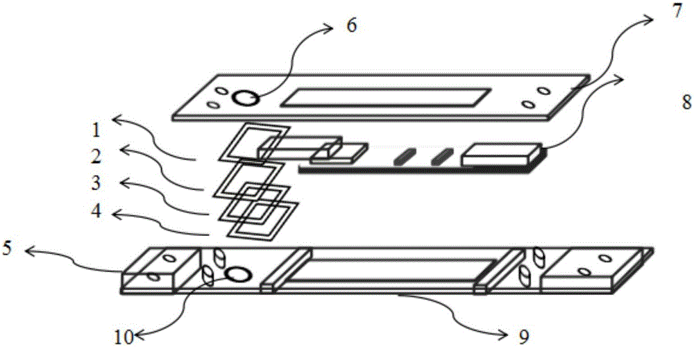 Urinary microalbumin (U-mALb)/urinary creatinine (U-Cr) integrated assay bigeminy strip and preparation method thereof