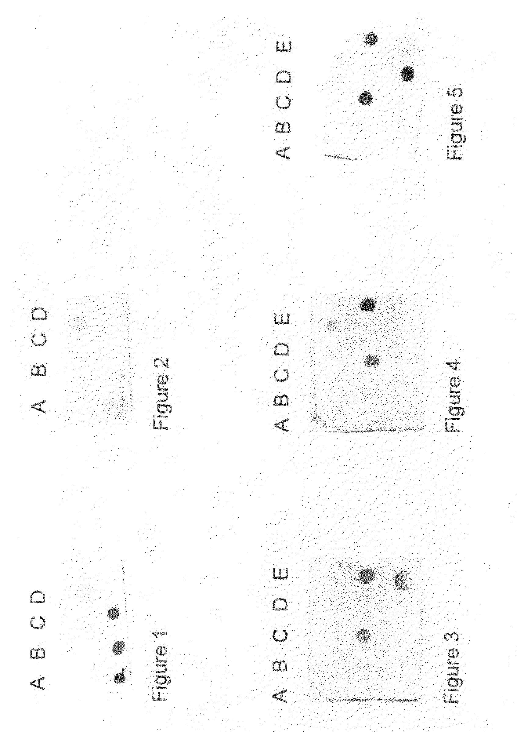 Detection of early stages and late stages HPV infection