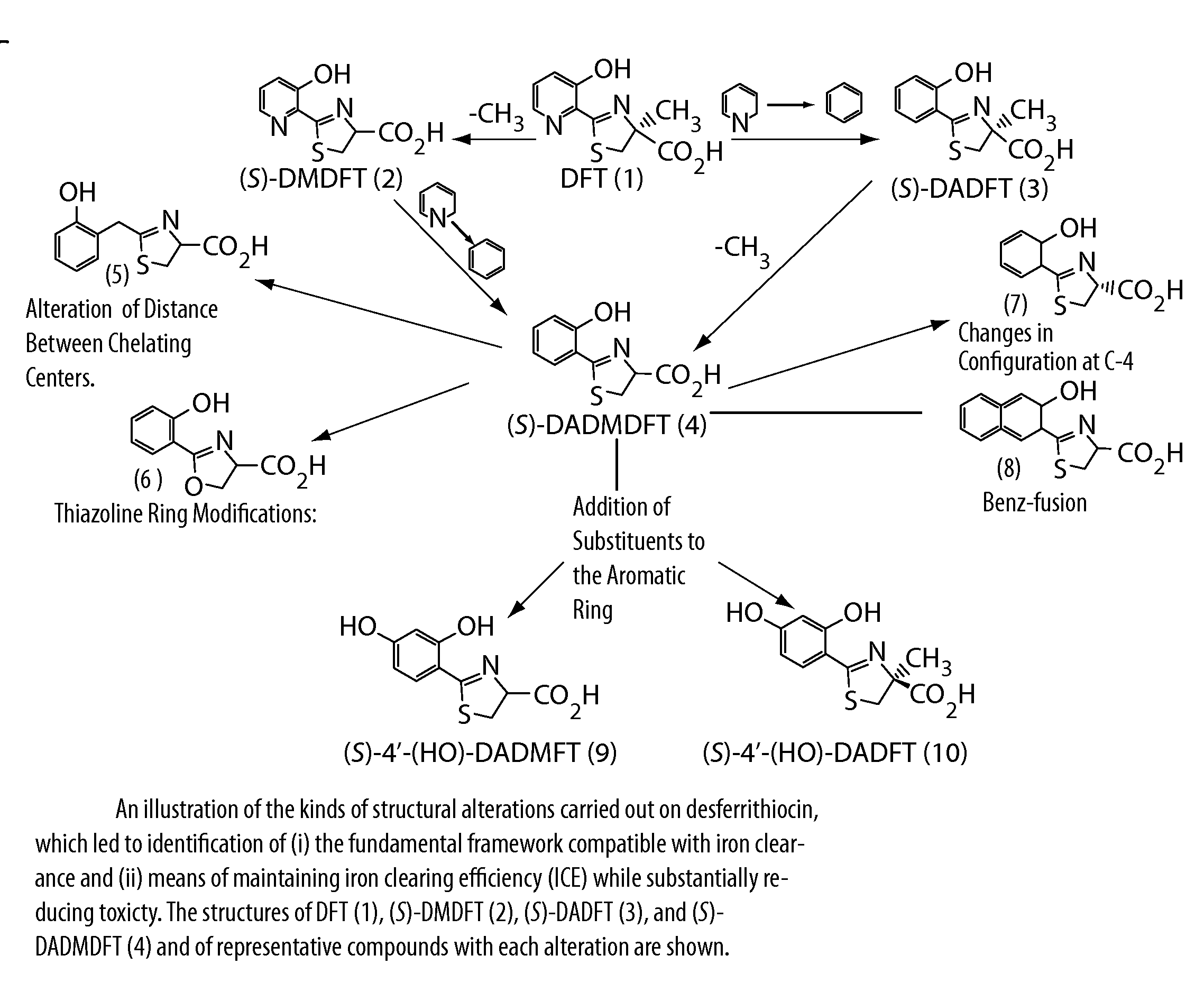 Desferrithiocin analogue actinide decorporation agents