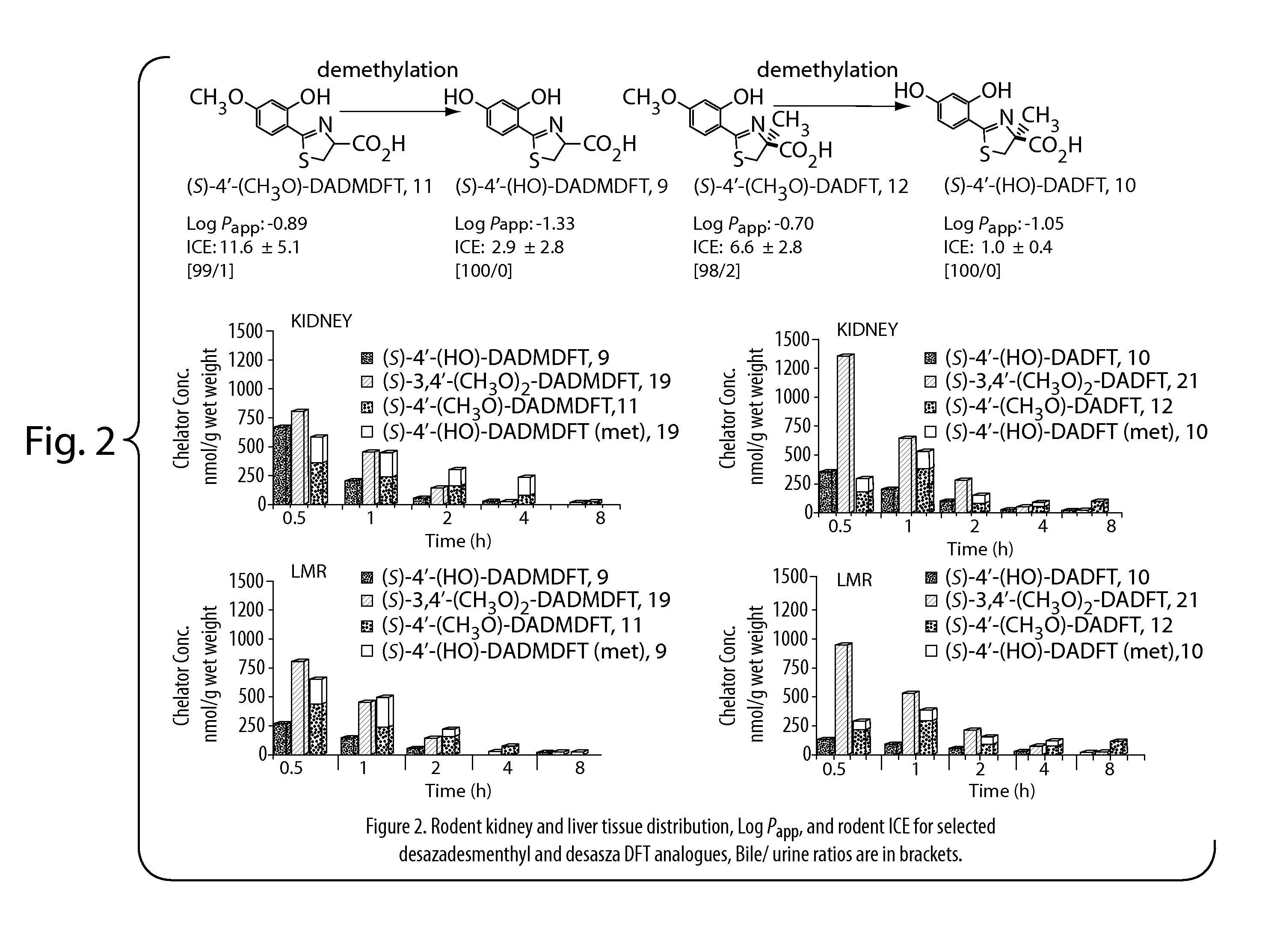 Desferrithiocin analogue actinide decorporation agents