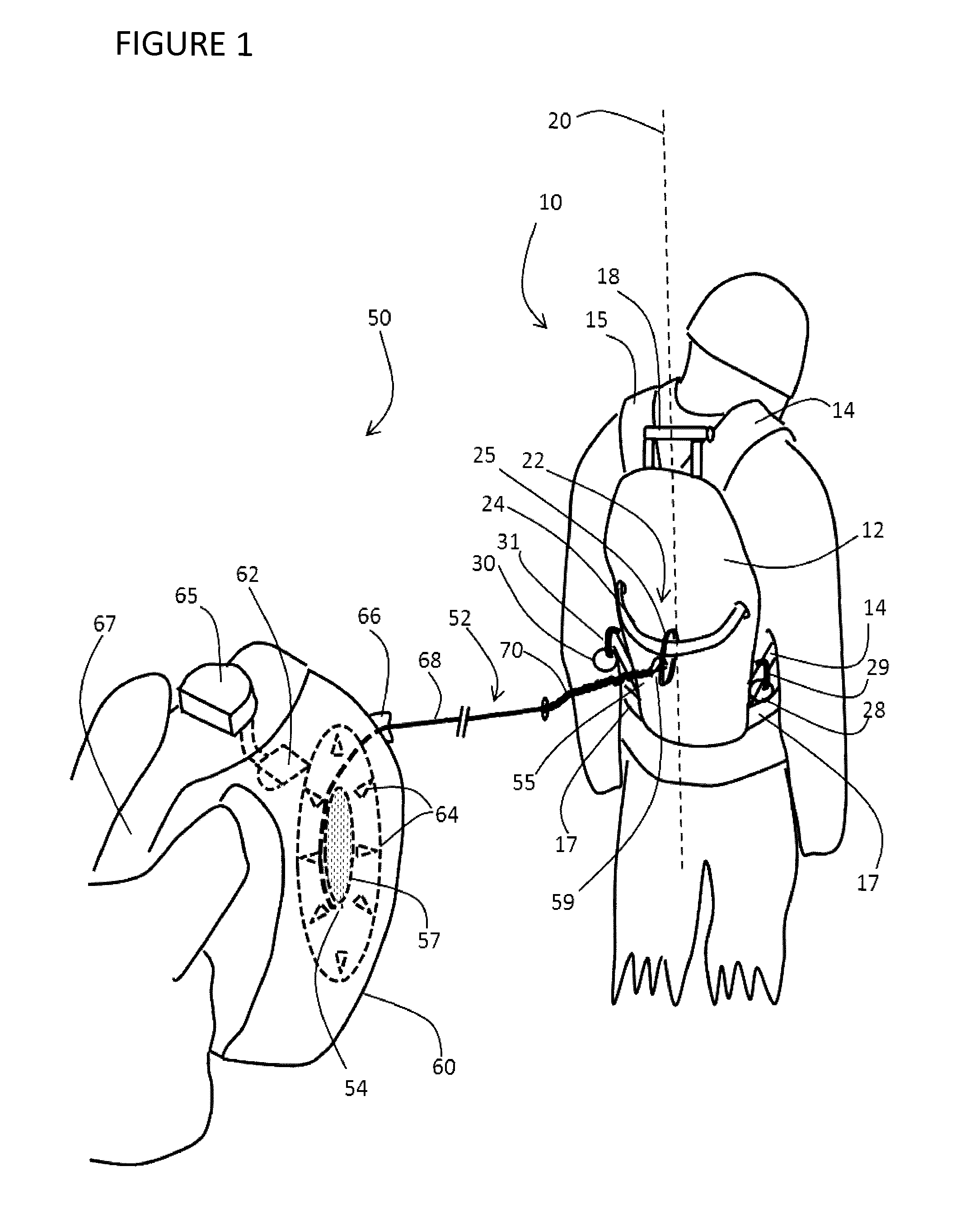 Tethered training harness