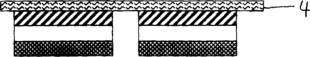 Technological process for selective plating copper on through holes of flexible multiple layered printing circuit board