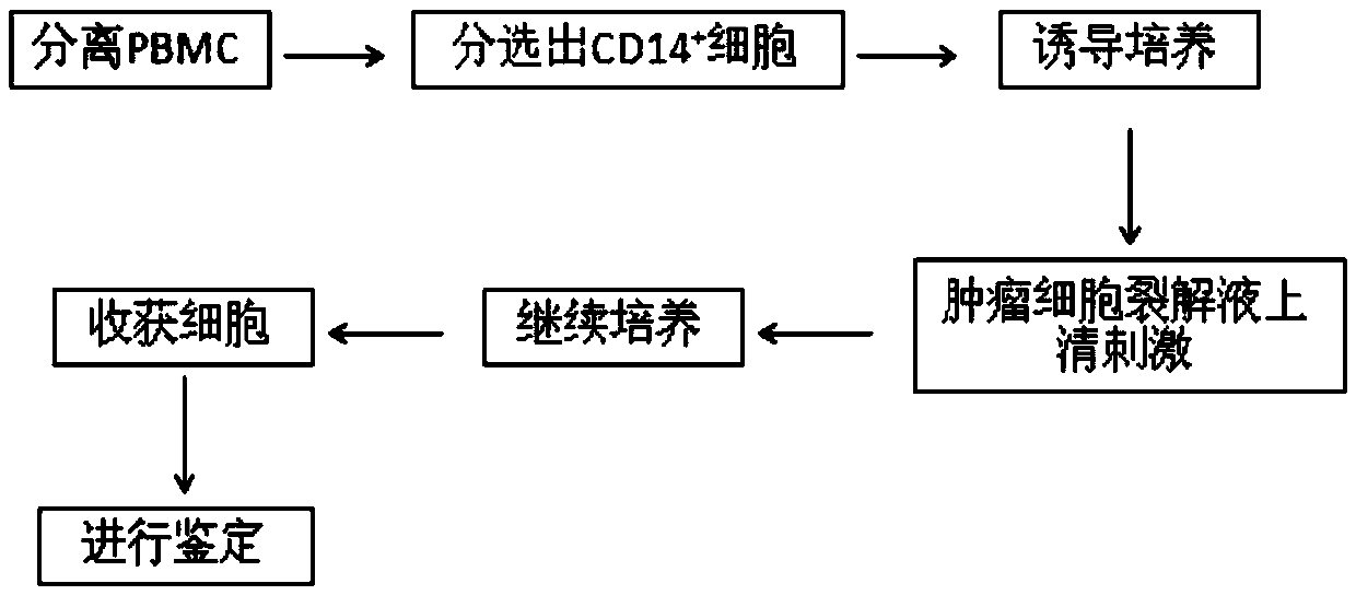 Macrophage induced culture medium and macrophage culture method