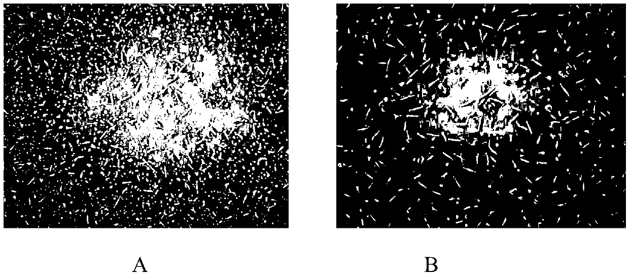 Macrophage induced culture medium and macrophage culture method