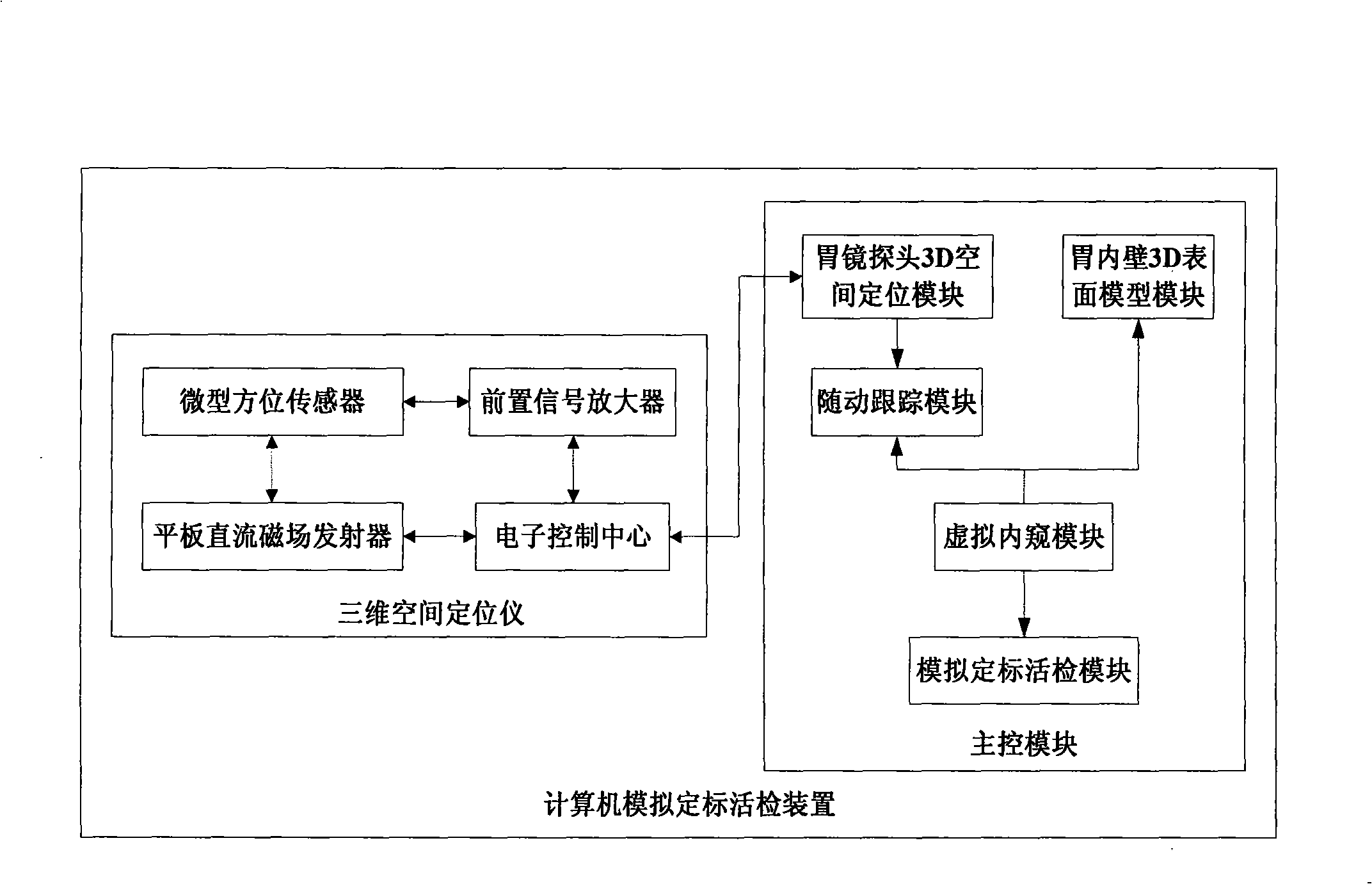 Computer simulation scaling biopsy method and apparatus