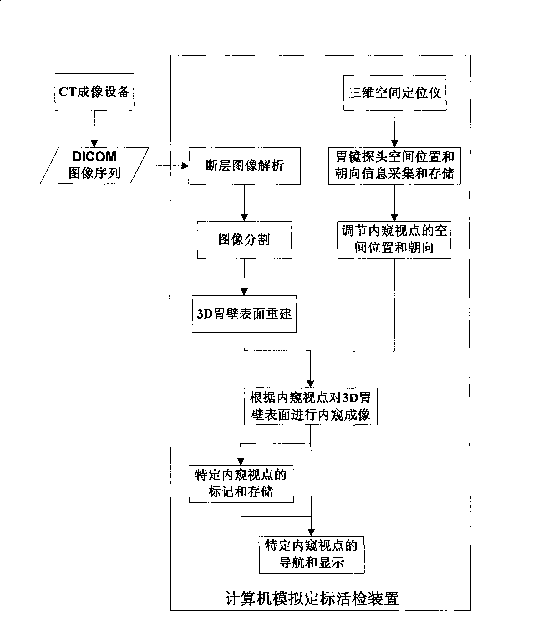 Computer simulation scaling biopsy method and apparatus