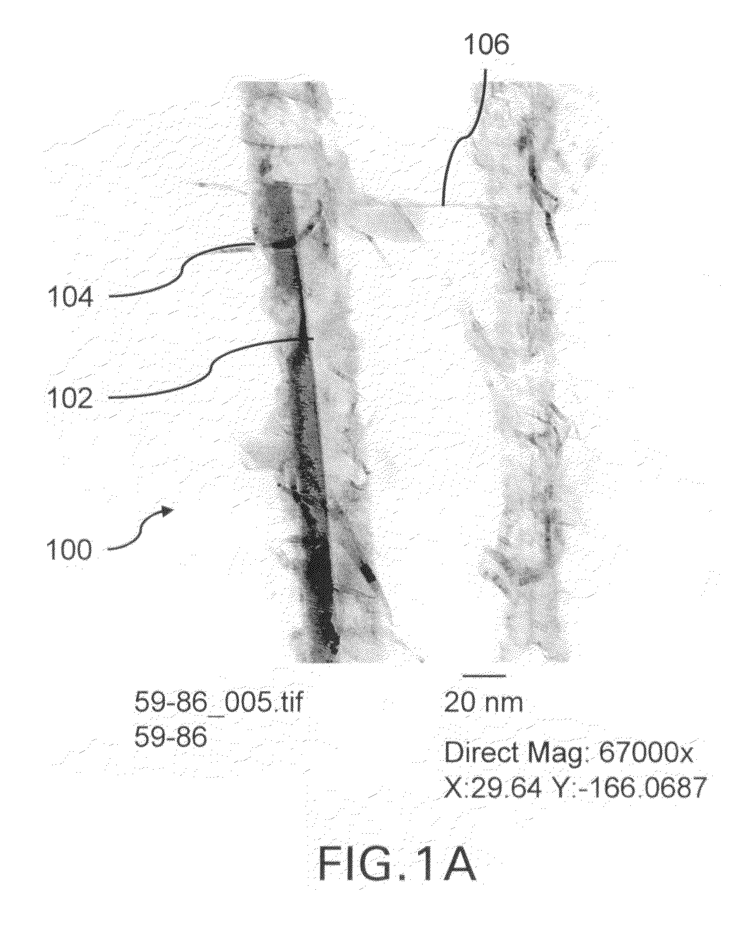 Nanowire structures comprising carbon