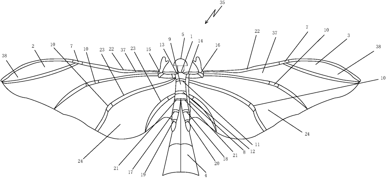 Wearable robot powering human flapping wing aircraft