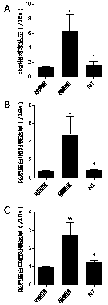 Application of polypeptide, polypeptide fragments and derivatives thereof in the prevention and treatment of fibrotic diseases