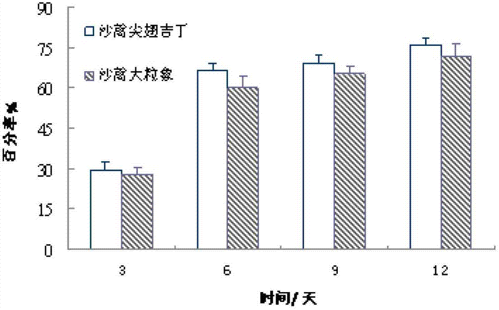 Breeding method of pyemotes tritici