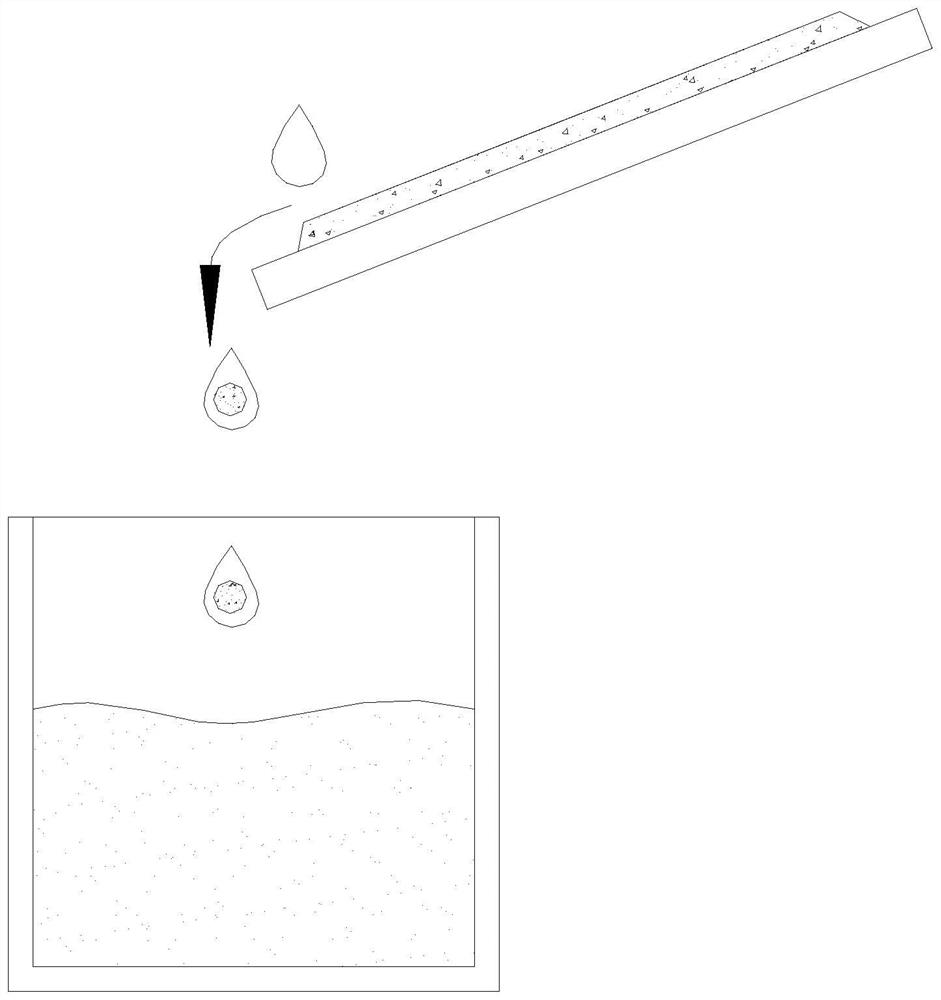 Cultivation method of yellow pitaya