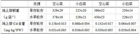 Crop rotation method capable of reducing content of cadmium in leaf vegetables