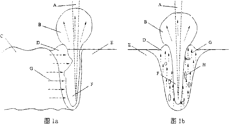 Ultrasound-assisted vacuum electron beam welding method of magnesium and magnesium alloy