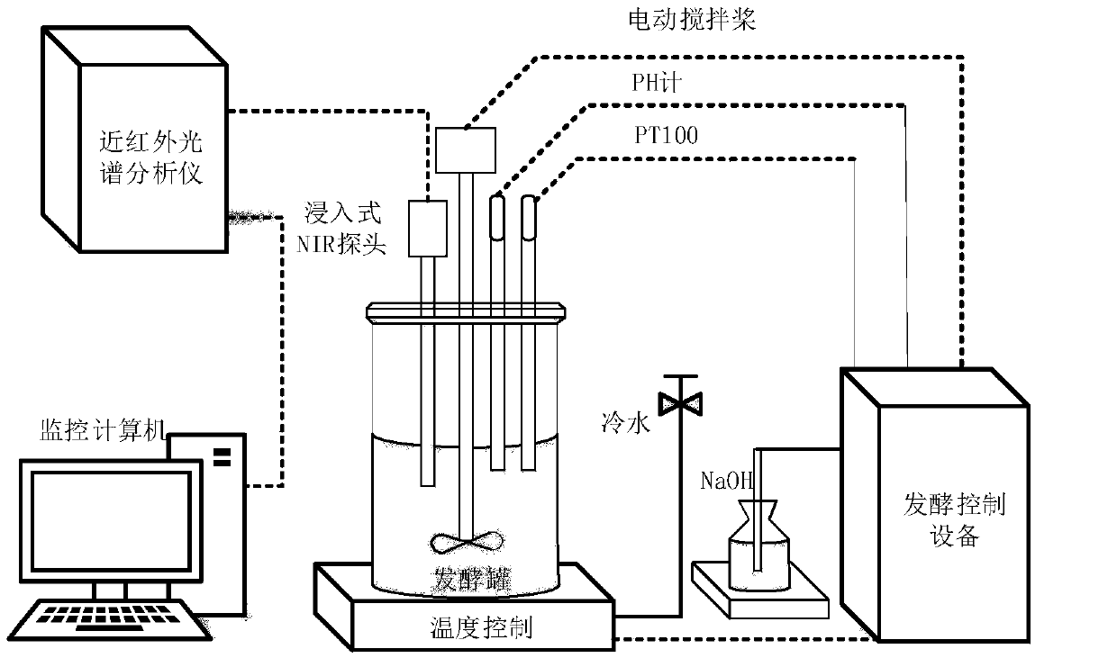 Method for detecting biomass and composition concentrations in fermentation process based on near-infrared spectrum