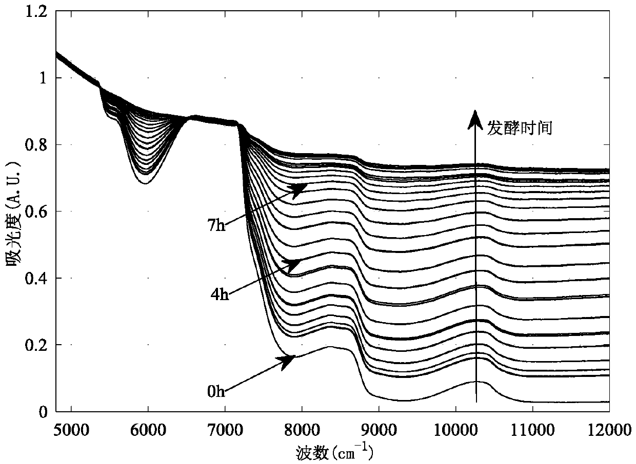 Method for detecting biomass and composition concentrations in fermentation process based on near-infrared spectrum