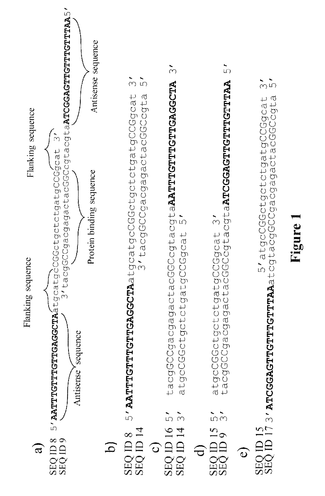 Antisense oligonucleotide compositions