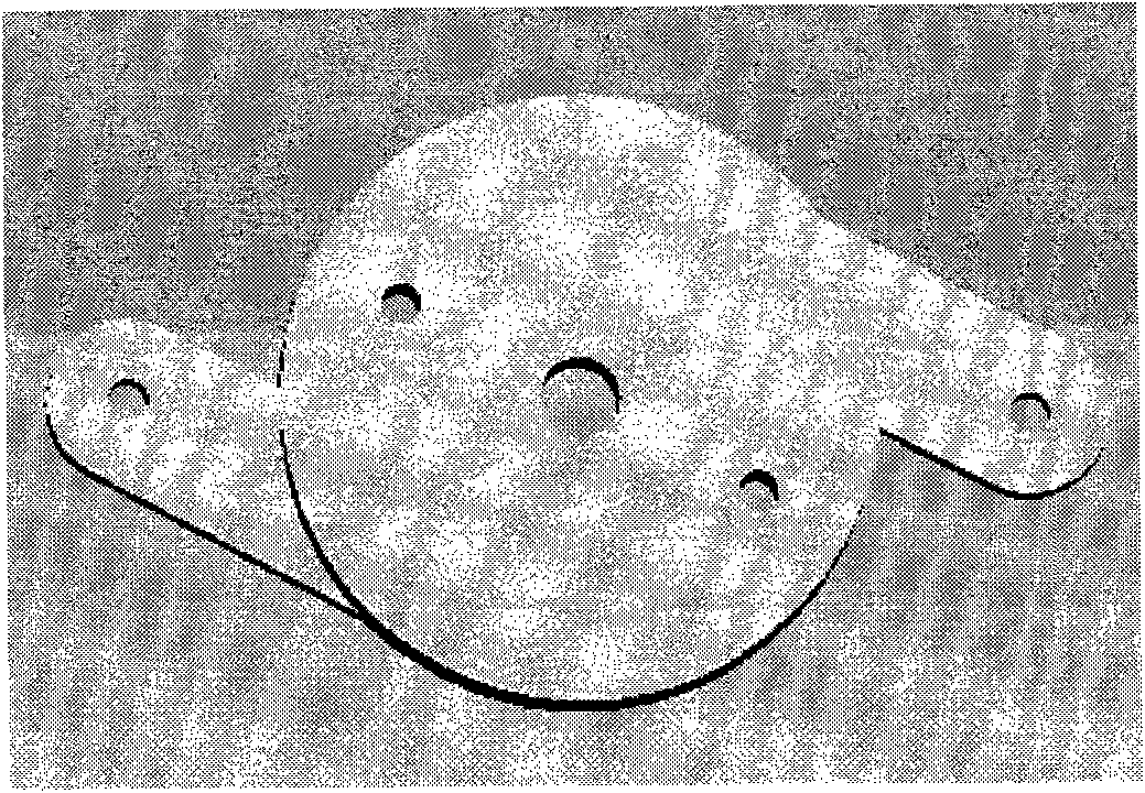 Rotor gripper structure