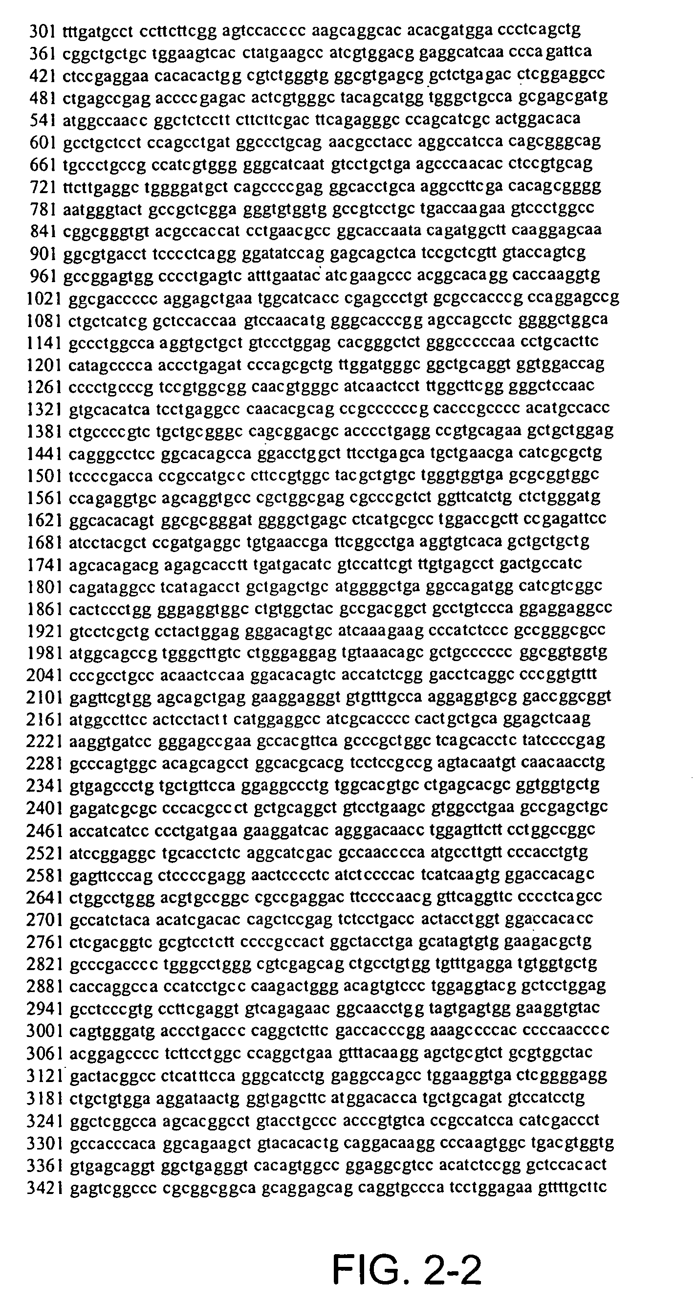 Serine/threonine hydrolase proteins and screening assays